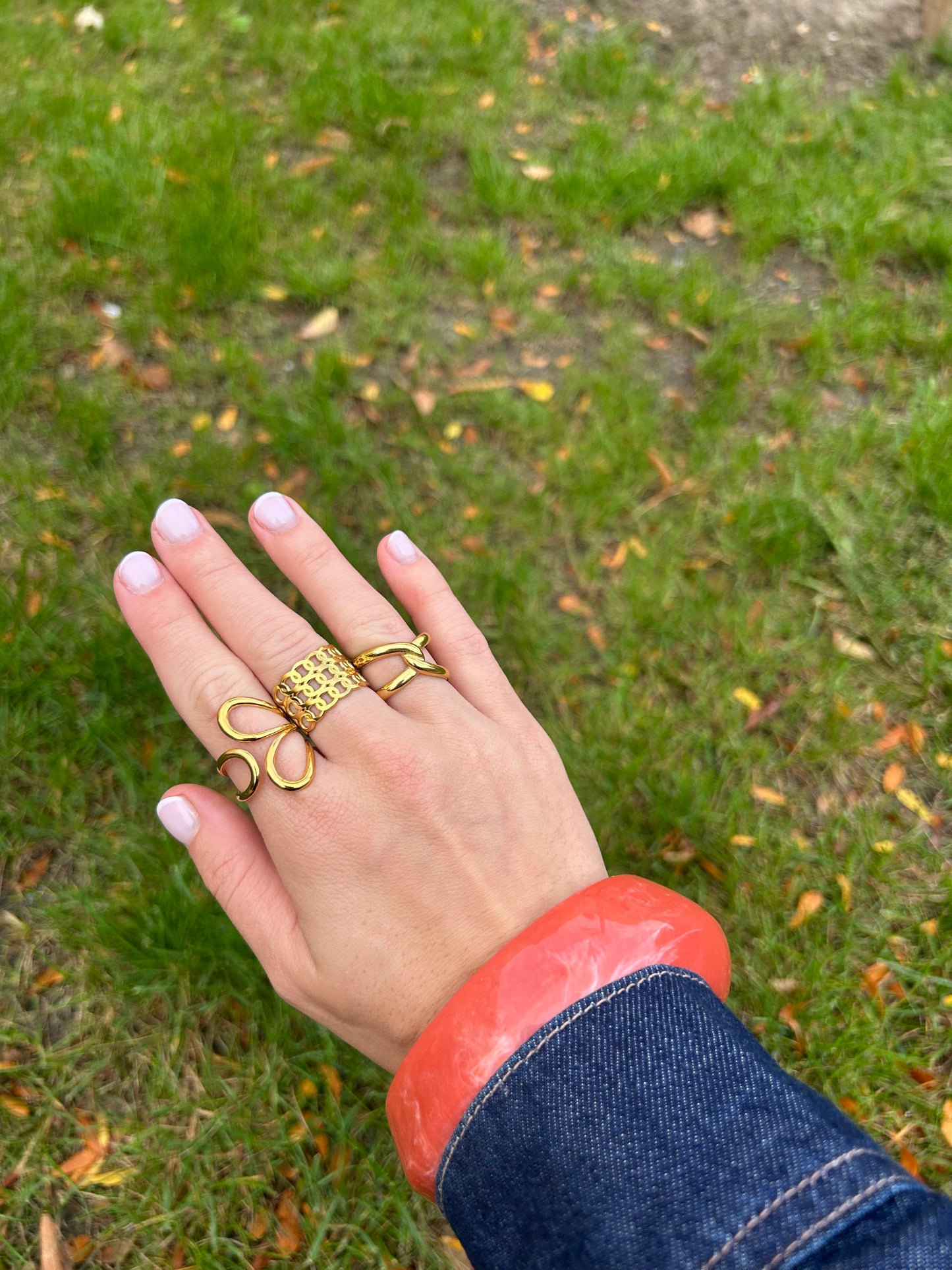 Ring Terra