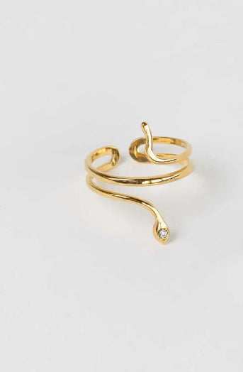 Ring Snake