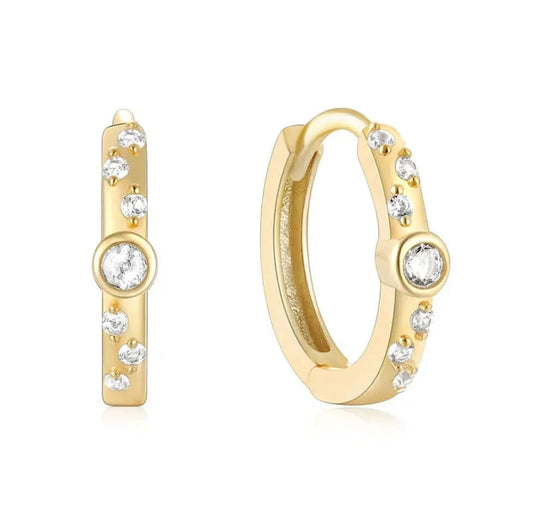 Oorbellen set Botanica